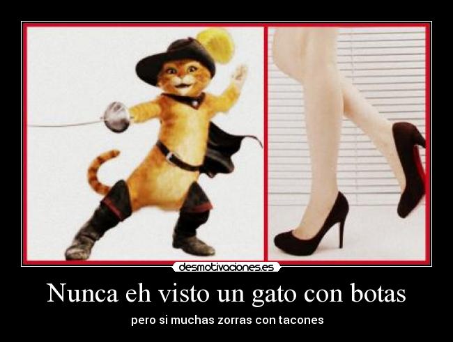 carteles zorras con tacones desmotivaciones