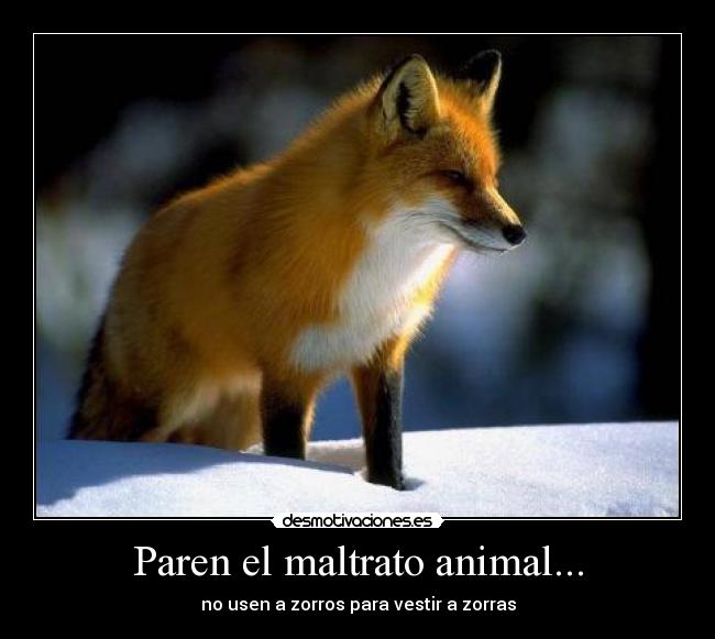 carteles maltrato animal desmotivaciones