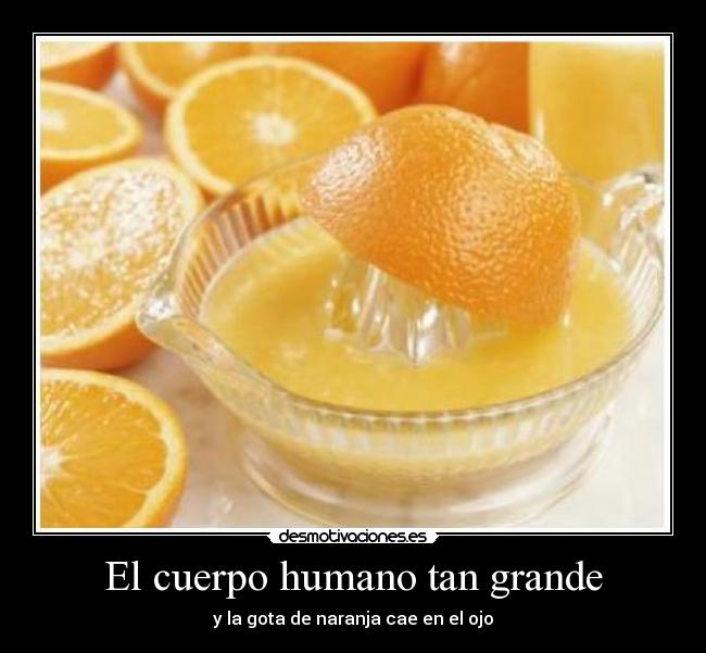 El cuerpo humano tan grande - 
