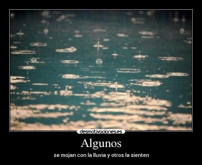 Algunos - se mojan con la lluvia y otros la sienten