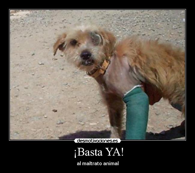 ¡Basta YA! -