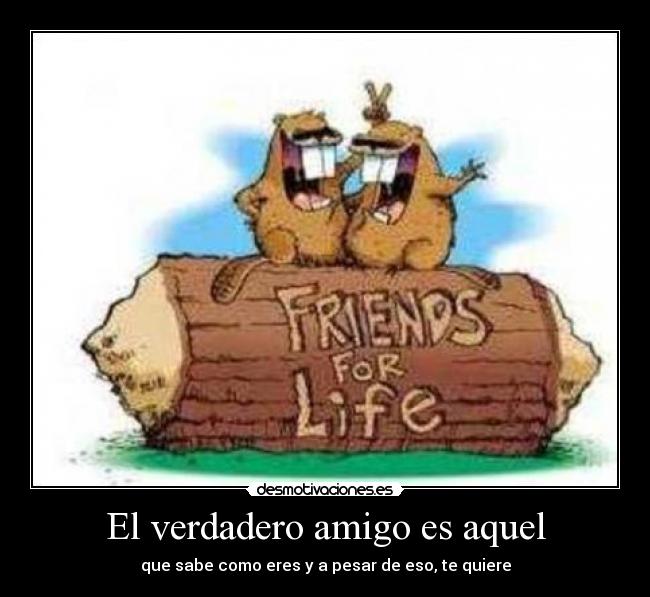 El verdadero amigo es aquel -