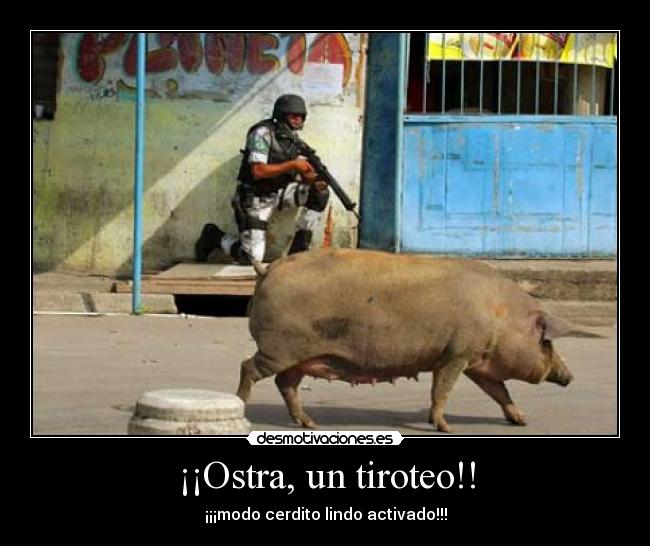 ¡¡Ostra, un tiroteo!! -