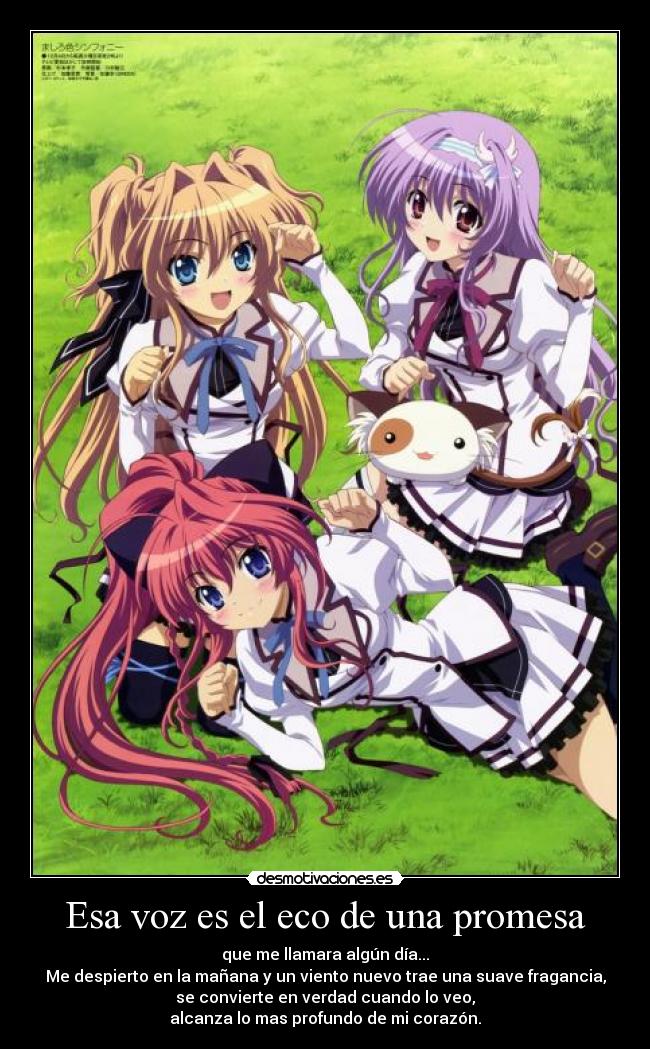 Esa voz es el eco de una promesa -