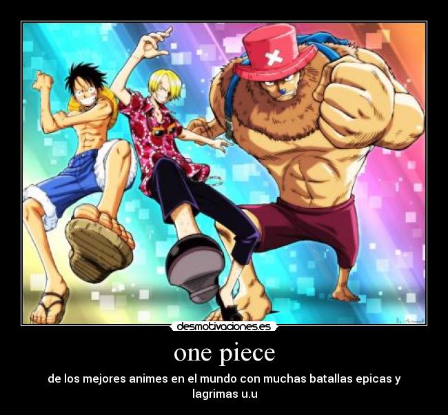 one piece -