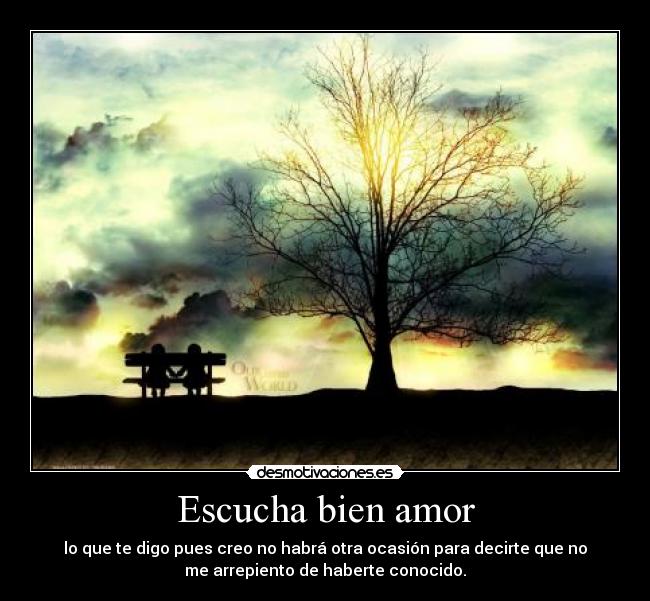 Escucha bien amor -