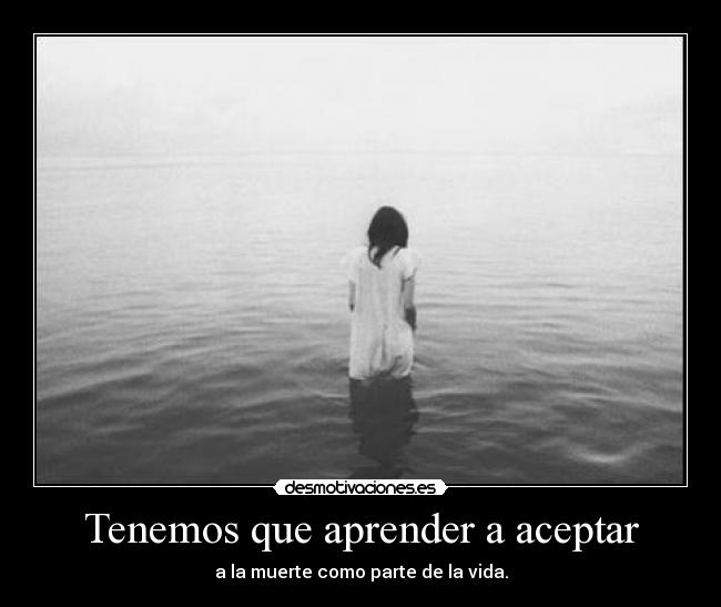 Tenemos que aprender a aceptar - 