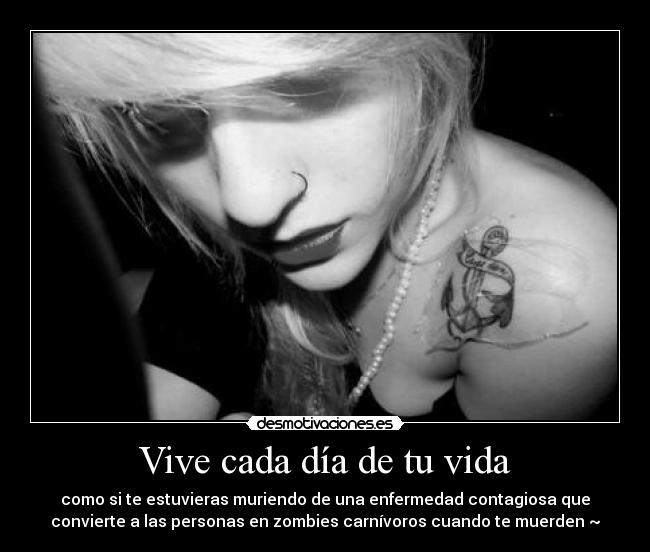 carteles vida mis paranohias desmotivaciones