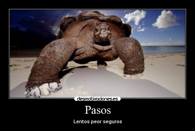 Pasos - 