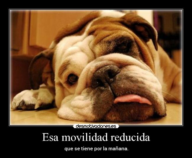 Esa movilidad reducida - que se tiene por la mañana.