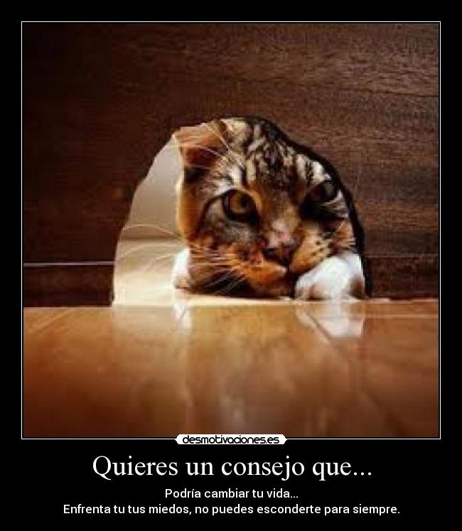 Quieres un consejo que... - 