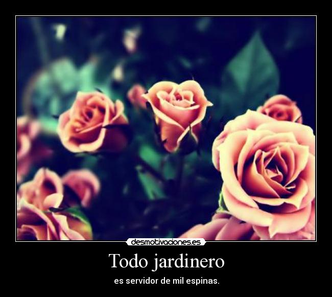 Todo jardinero - es servidor de mil espinas.