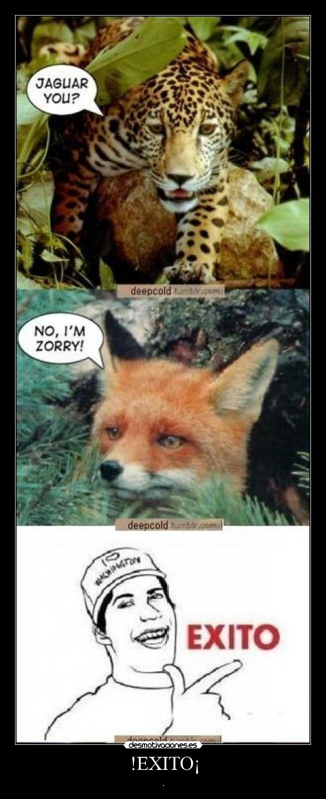 !EXITO¡ - .