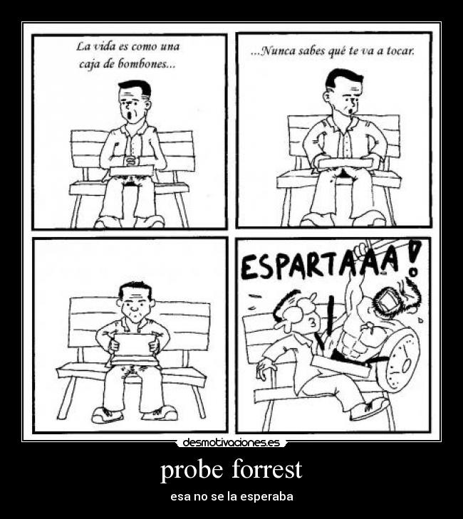 probe forrest - 