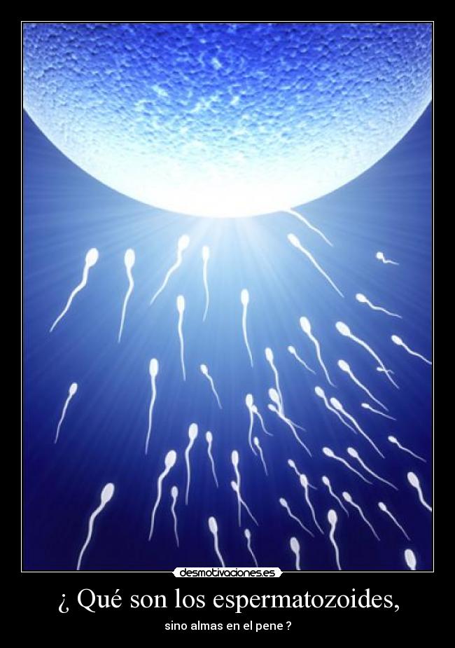 ¿ Qué son los espermatozoides, - sino almas en el pene ?