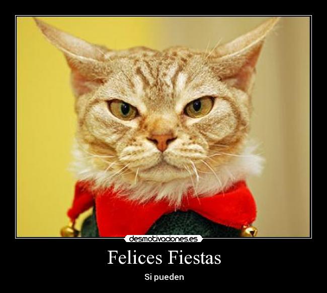 Felices Fiestas - Si pueden