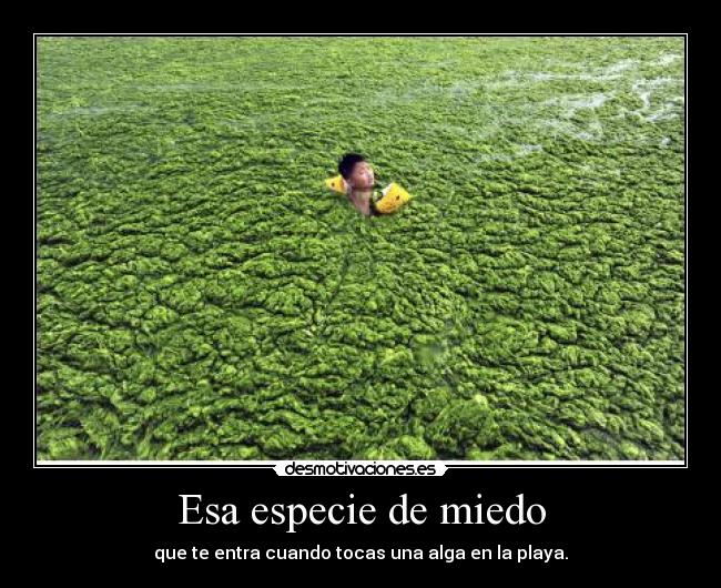 Esa especie de miedo - que te entra cuando tocas una alga en la playa.