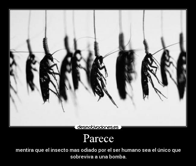 Parece -