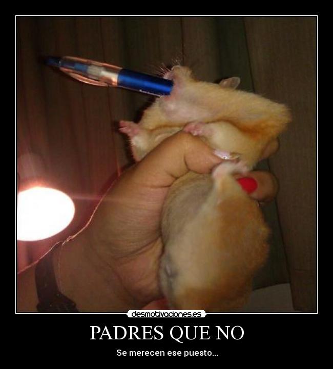 PADRES QUE NO - Se merecen ese puesto...