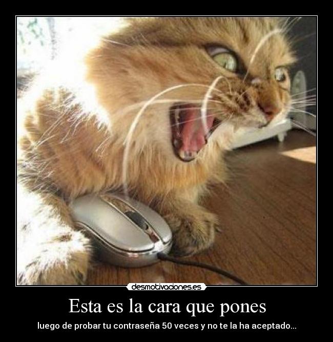 Esta es la cara que pones - luego de probar tu contraseña 50 veces y no te la ha aceptado...