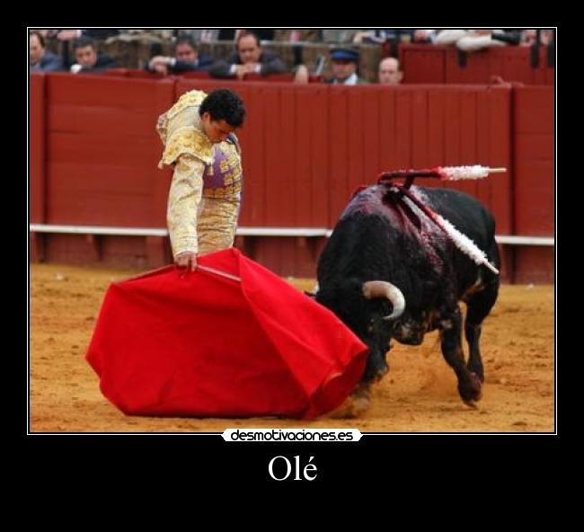 Olé - 