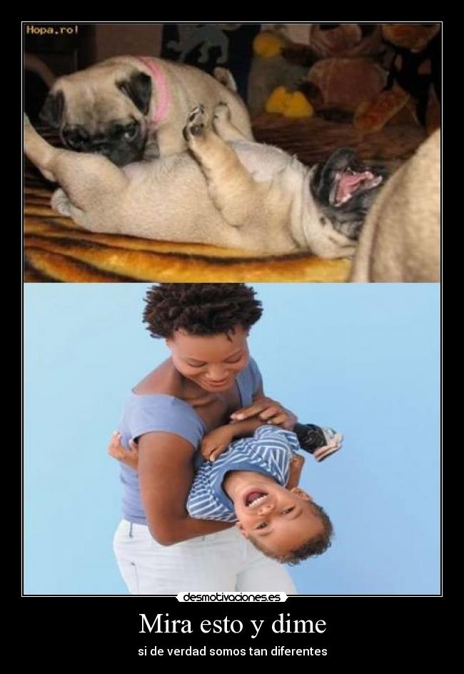 Mira esto y dime - si de verdad somos tan diferentes