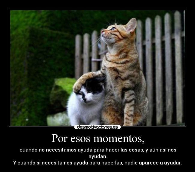 Por esos momentos, - cuando no necesitamos ayuda para hacer las cosas, y aún así nos ayudan.
Y cuando si necesitamos ayuda para hacerlas, nadie aparece a ayudar.