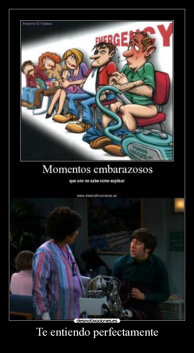 Te entiendo perfectamente - 