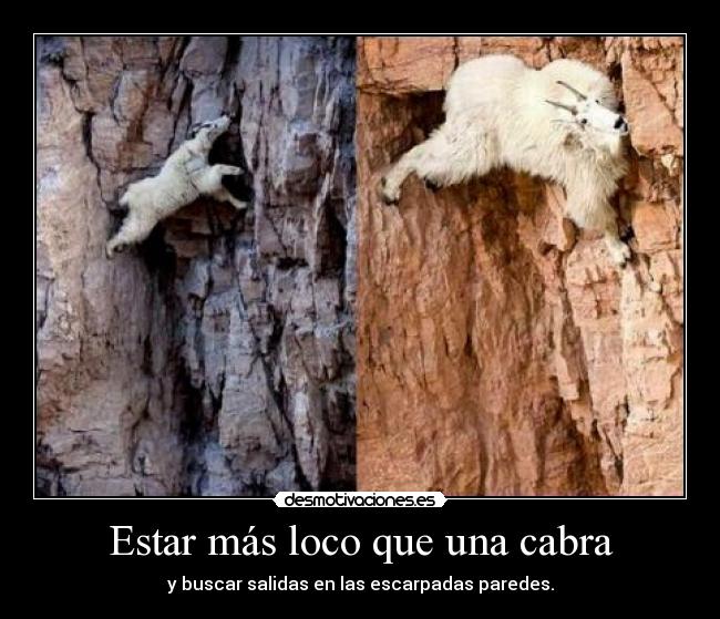 carteles estas como una cabra desmotivaciones
