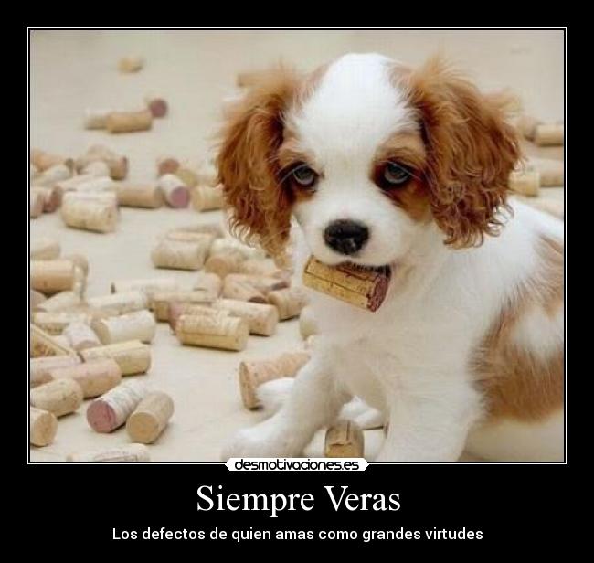 Siempre Veras - Los defectos de quien amas como grandes virtudes