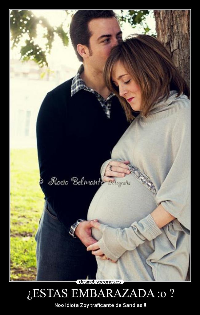 carteles aniz desmotivaciones