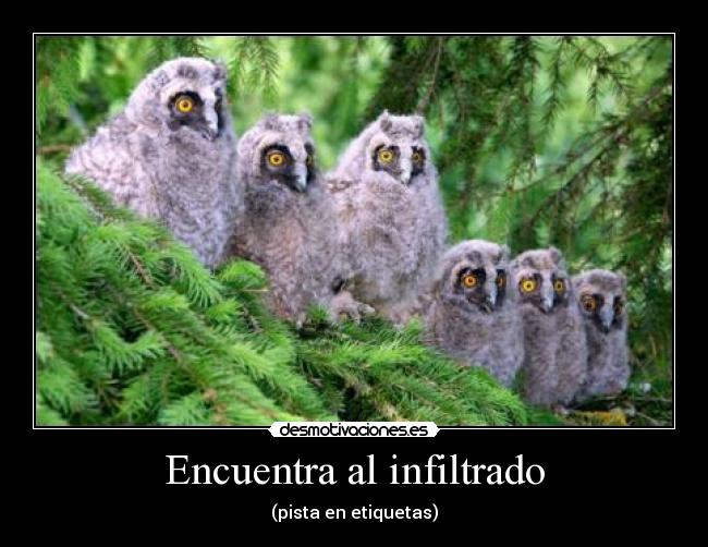 Encuentra al infiltrado - 