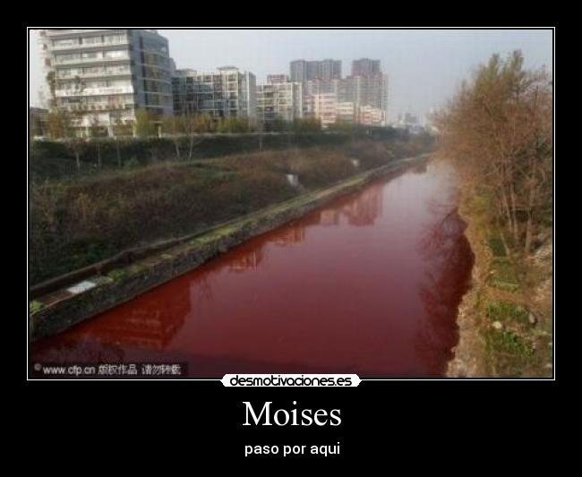 Moises - paso por aqui