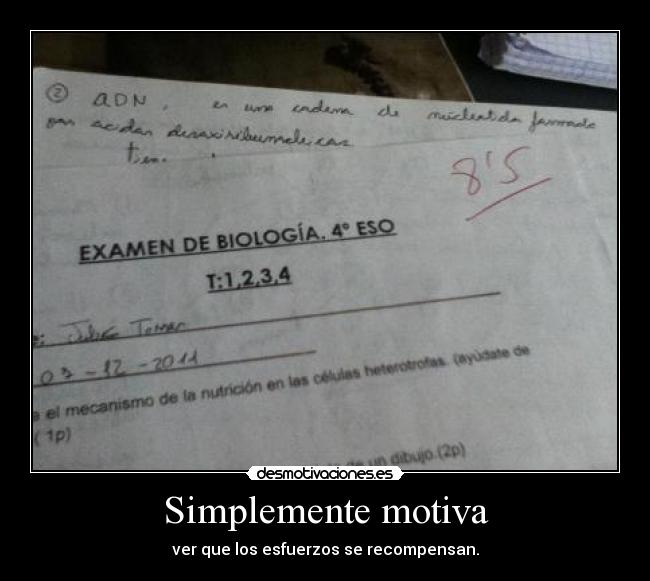 Simplemente motiva - ver que los esfuerzos se recompensan.