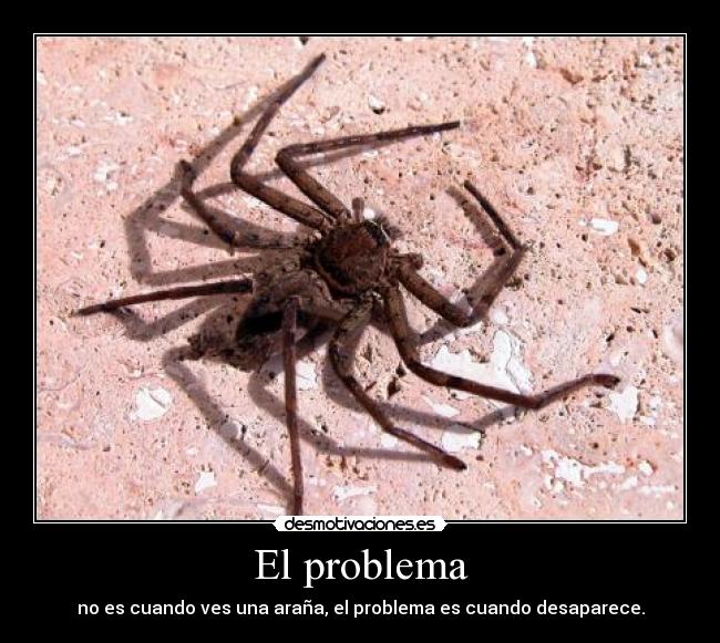 El problema - 