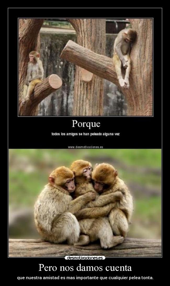 Pero nos damos cuenta - que nuestra amistad es mas importante que cualquier pelea tonta.