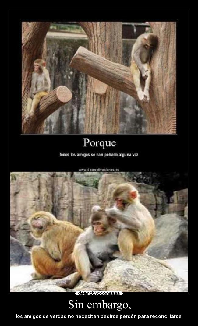 carteles monos amigos desmotivaciones