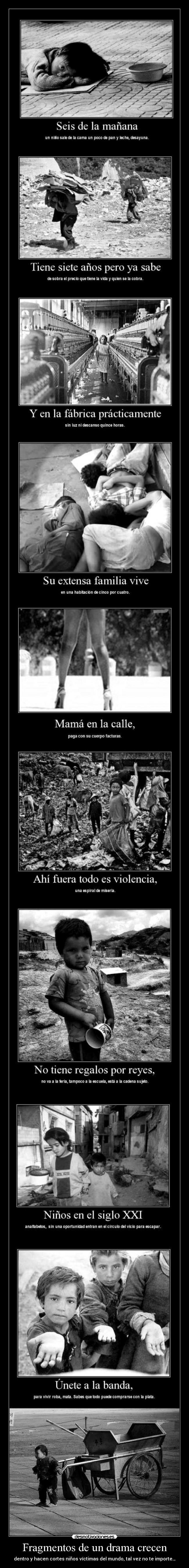 Fragmentos de un drama crecen - 