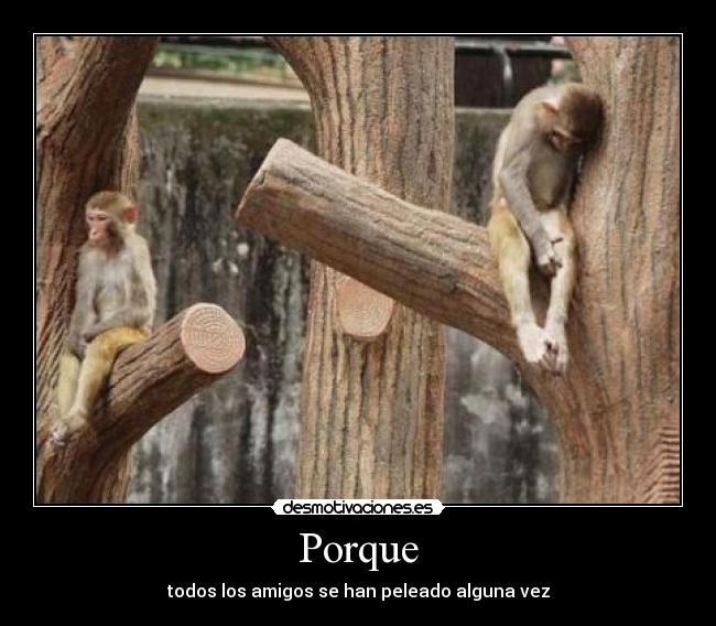 Porque - 