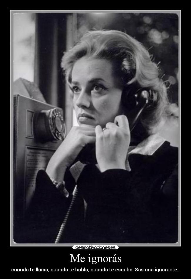 Me ignorás - cuando te llamo, cuando te hablo, cuando te escribo. Sos una ignorante...