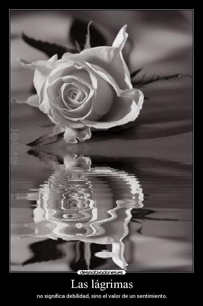 Las lágrimas - 