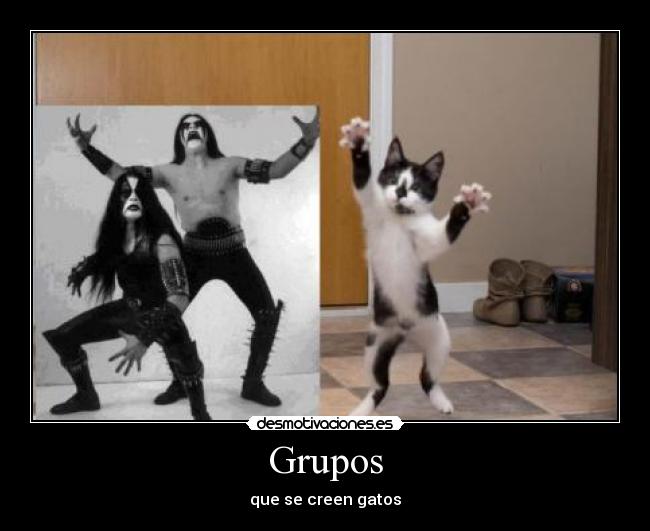 Grupos - que se creen gatos