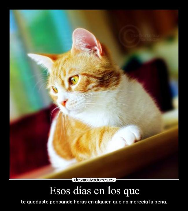 Esos días en los que -