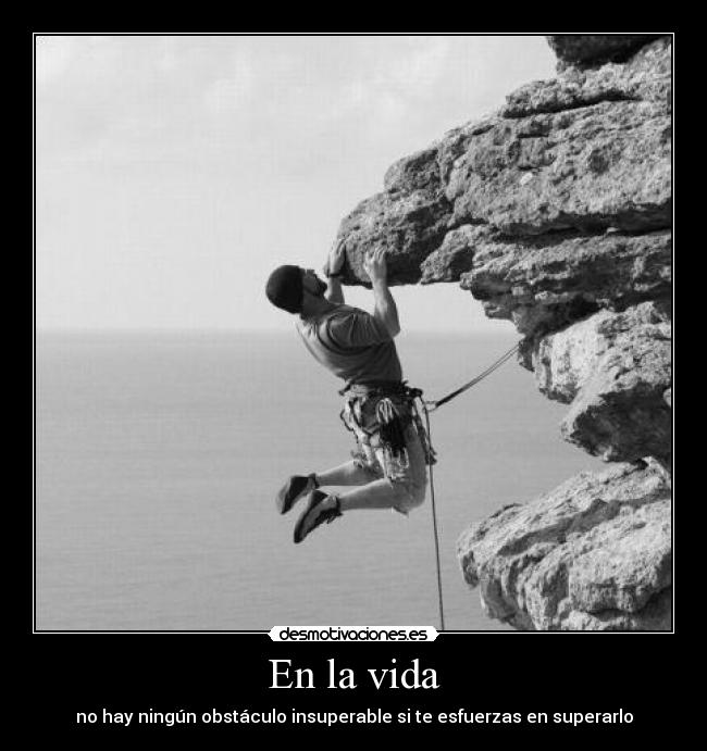 carteles vida vida desmotivaciones