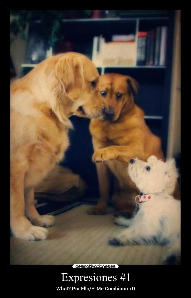 Expresiones #1 -