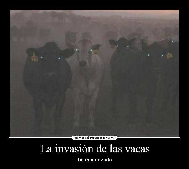 La invasión de las vacas - ha comenzado