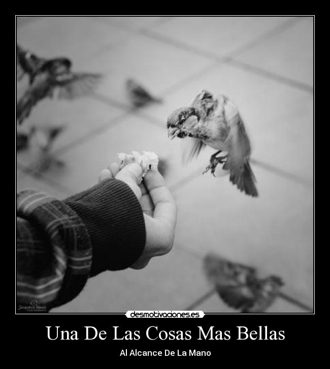 Una De Las Cosas Mas Bellas - Al Alcance De La Mano