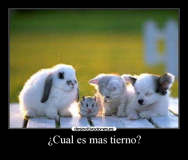 carteles cual mas tierno desmotivaciones