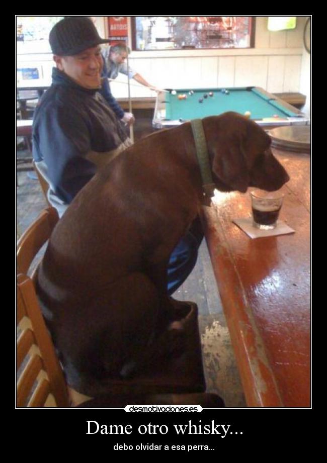 Dame otro whisky... - 