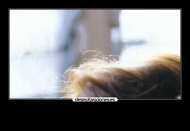 carteles las ardillas molan megacartel 625 desmotivaciones